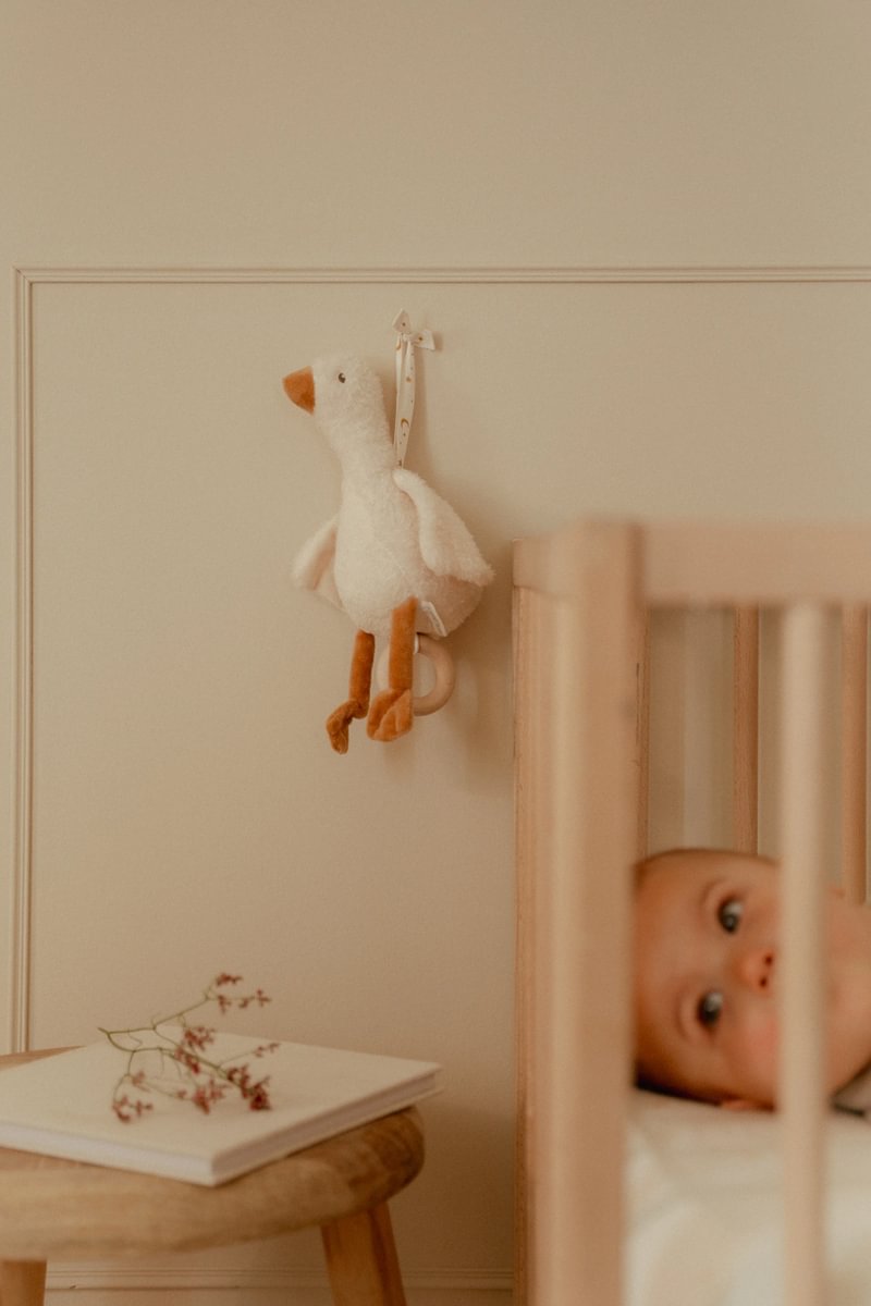Spieluhr Little Goose GRS