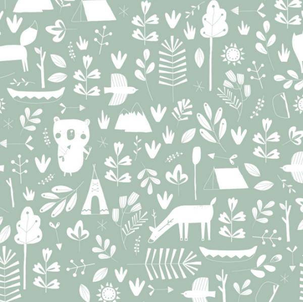 Adventure mint wallpaper