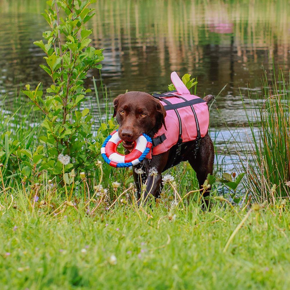 Dog swimming aid "Sharki" pink size: L - 40 cm | Nobby