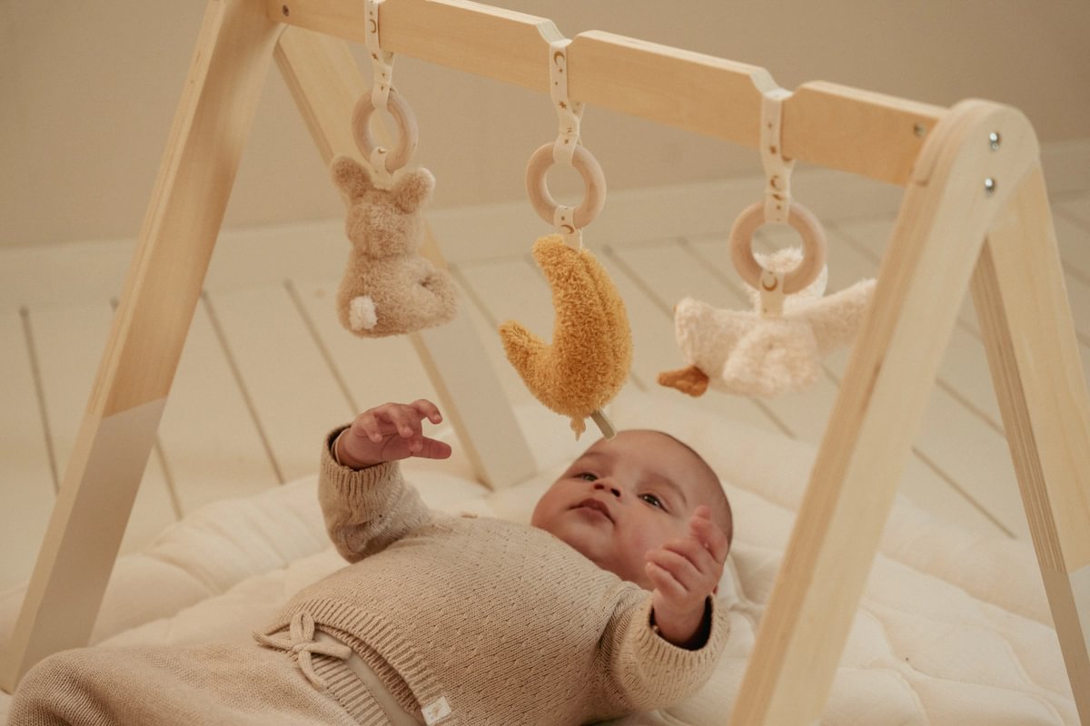 Arche d'éveil Newborn Naturals pour bébés | Schmatzepuffer