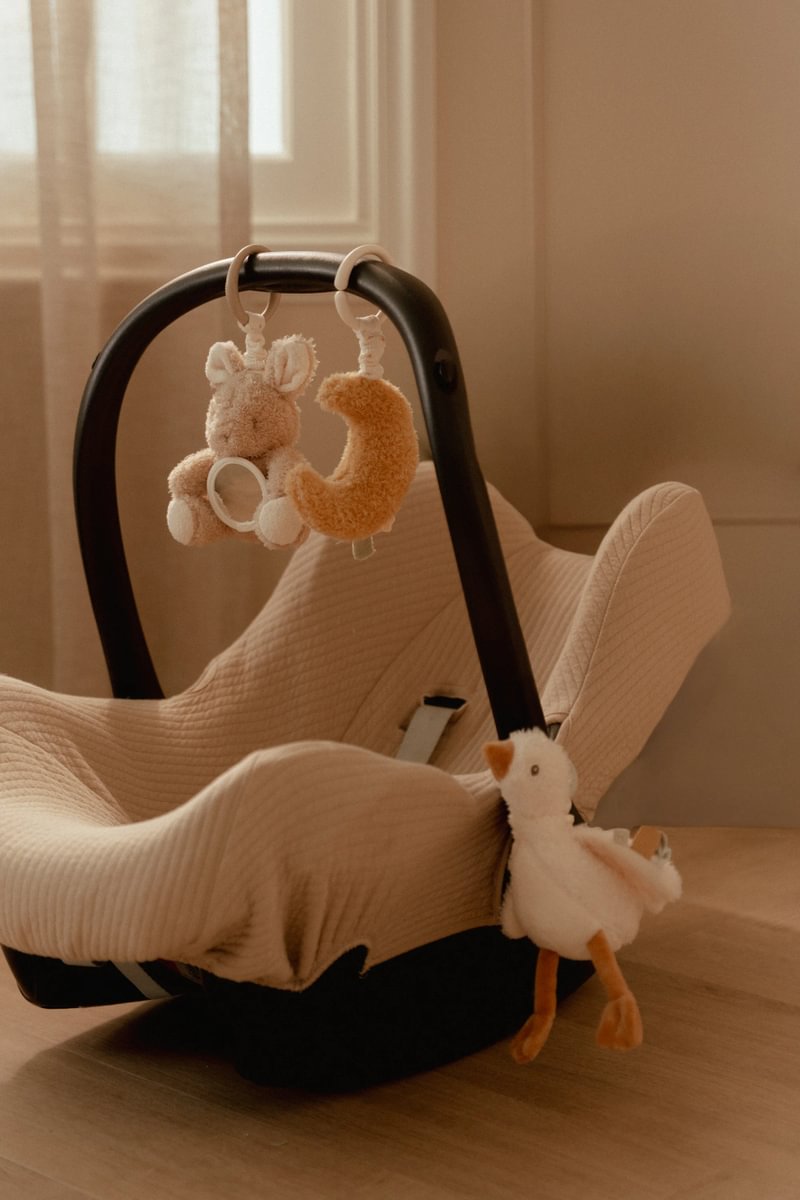 Aktivitätshänger Newborn Naturals GRS