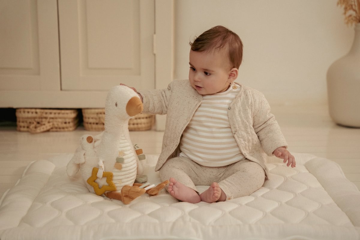 Activity cuddly toy Little Goose GRS