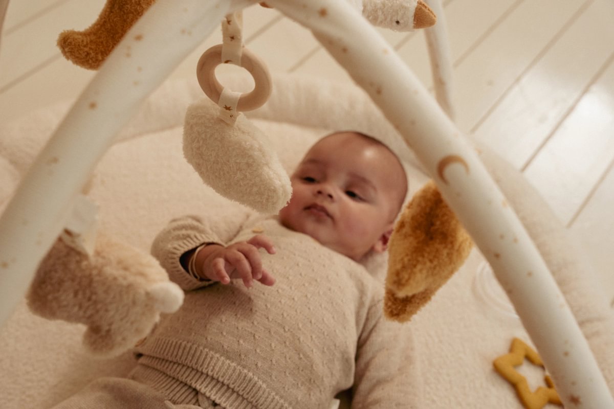 Aktivity Spieldecke Newborn Naturals GRS