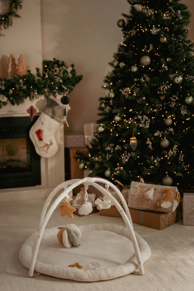 Aktivity Spieldecke Newborn Naturals GRS