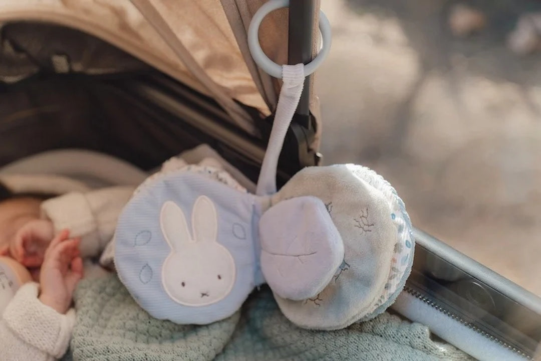 Livre d'activités Lucky Leaves x Miffy