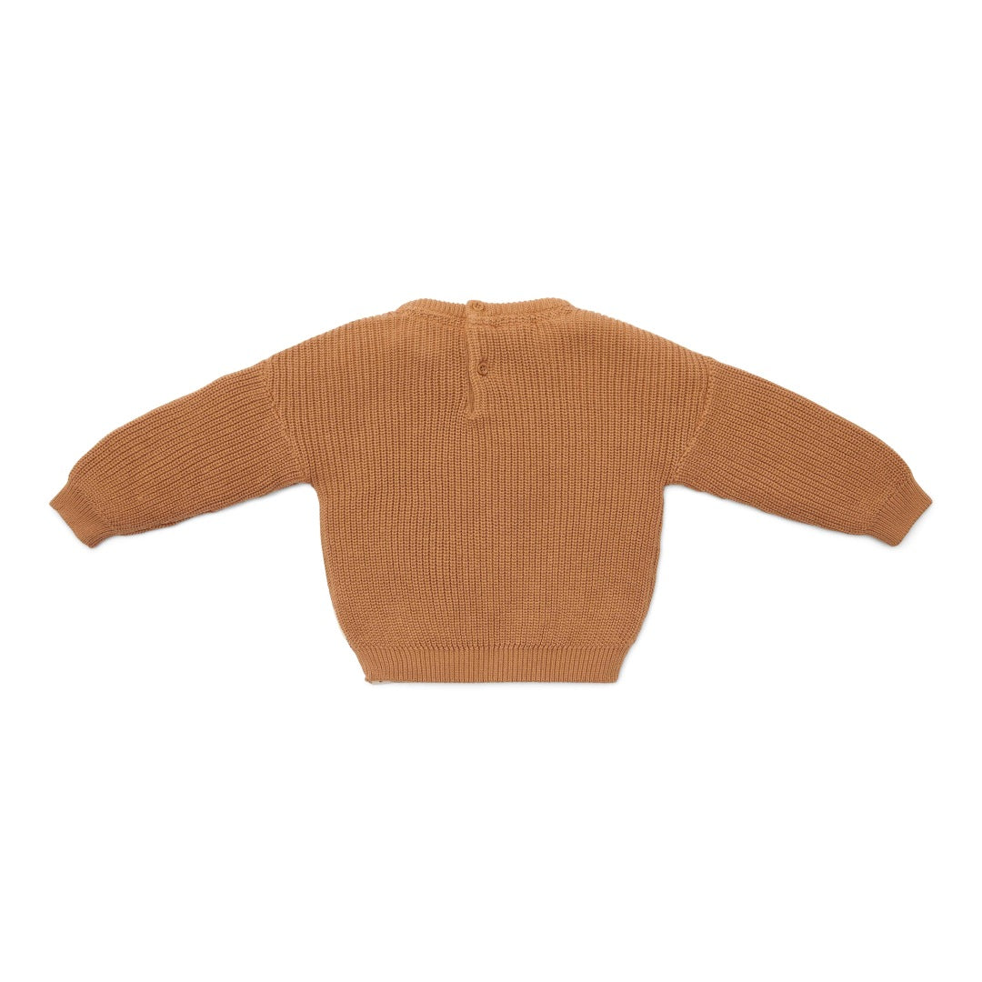 Gestrickter Pullover Brown für Babys und Kinder