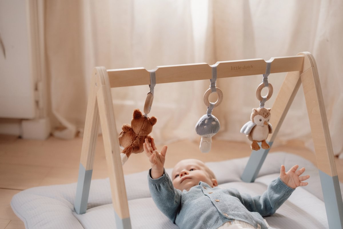 Arche d'éveil Forest Friends – Jouet d'éveil pour bébés