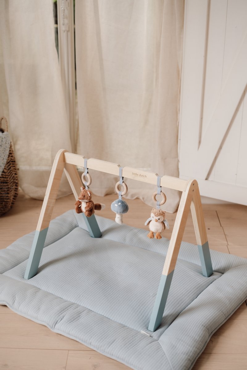 Arche d'éveil Forest Friends – Jouet d'éveil pour bébés